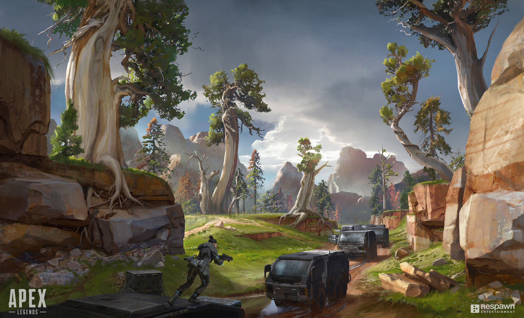 的轮换阵容 的轮换阵容