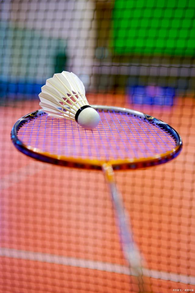 露锋芒的雄 露锋芒的雄