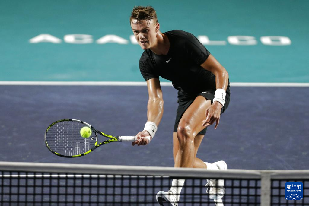 沙特职业联 沙特职业联